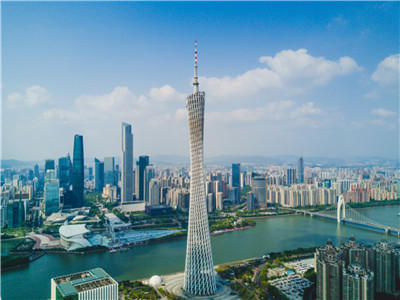 探索广州微信社交平台上的高端品茶文化 探索广州微信社交平台上的高端品茶文化